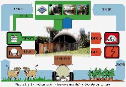 Biomasse : schéma de biométhanisation comme énergie de chauffage Biomasse : schéma de biométhanisation