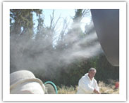 Rabattre les poussières