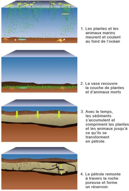 Schéma de l'histoire du pétrole Histoire du pétrole