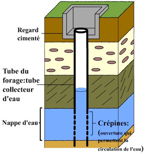 Vue en coupe d'un forage Forage