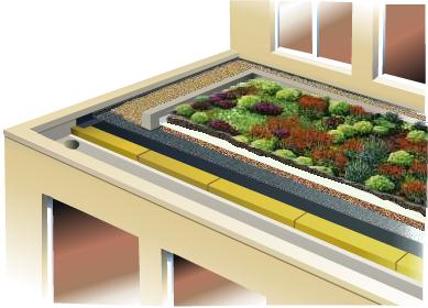 Composition d'une toiture végétalisée
