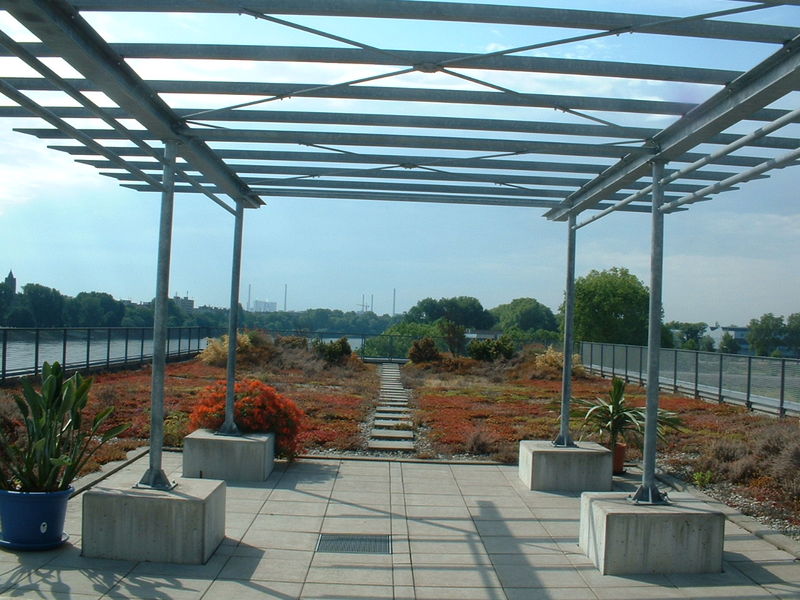 Terrasse d’agrément végétalisée
