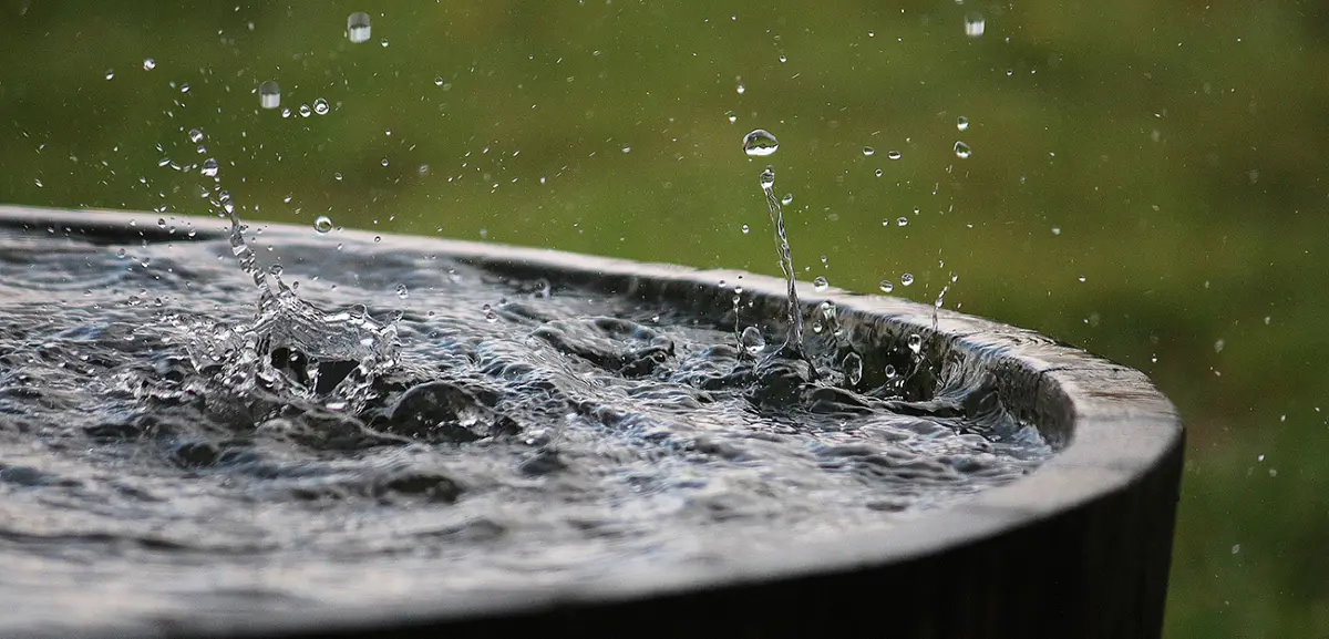 Récupération de l'eau de pluie