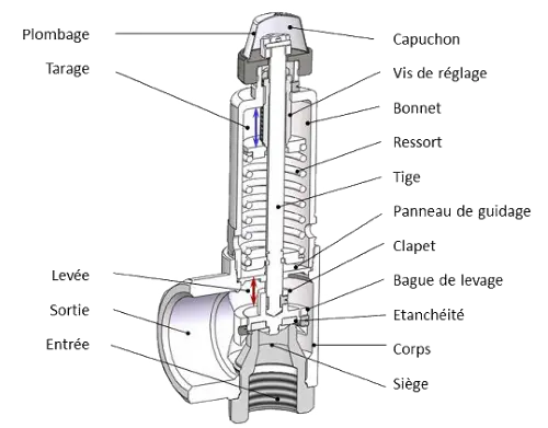 Vue en coupe d'une soupape de sécurité sanitaire